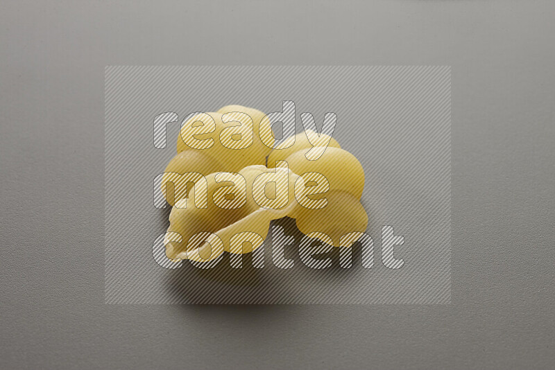 Snails pasta on grey background