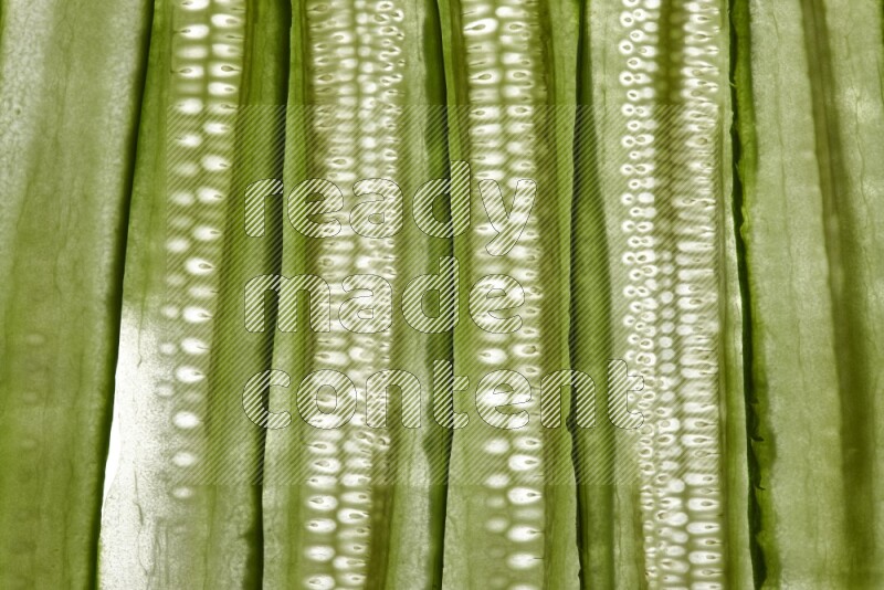 Cucumber slices on illuminated white background