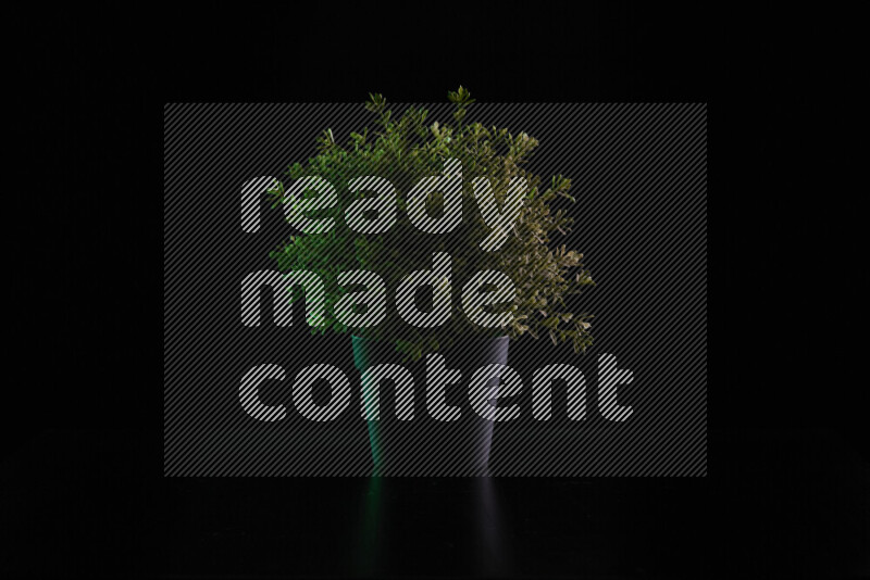 Plastic potted plant with colored rim light against black background