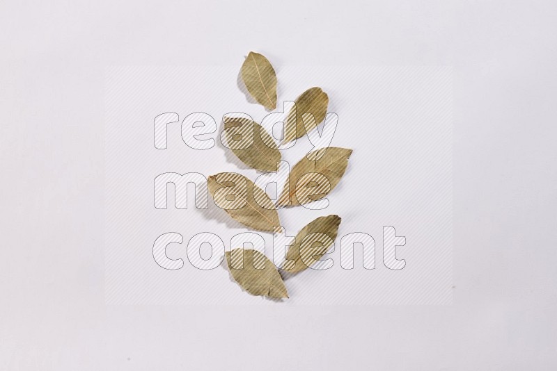 Dried bay leaves on white flooring in different angles