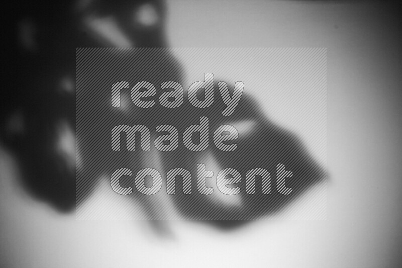 A delicate gobo light projects the silhouette of plant leaves onto a smooth surface