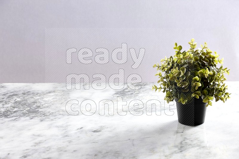 Artificial Plant in black pot on Light Grey Marble Background 45 degree angle