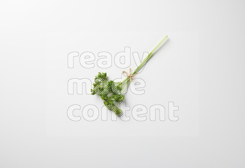 Fresh curly lettuce sprigs with vibrant green leaves on white background