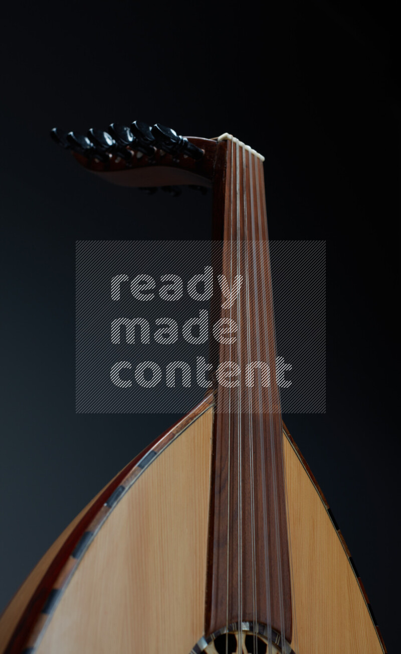 parts of a brown wooden Oud in a gray background