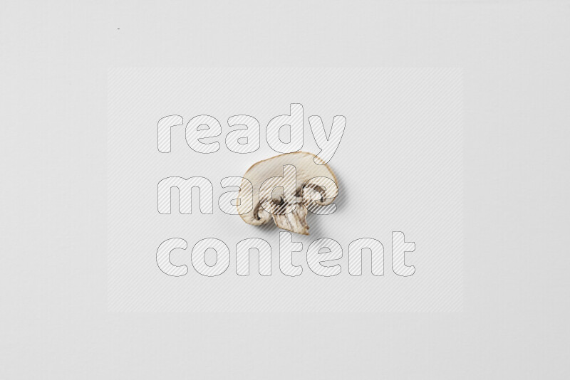 Mushrooms on white background