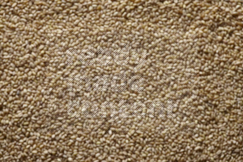 قمح خارج إطار التركيز علي الخلفية كاملة