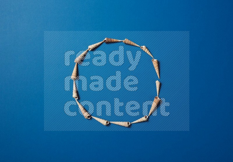 top view shot of seashells arrangement on blue background