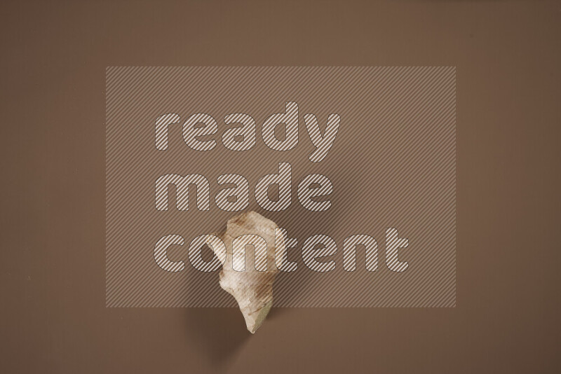 بهارات كاملة متنوعة تتضمن زنجبيل طازج ومجفف، أعواد قرفة، هيل، أصابع كركم، قرنفل، يانسون نجمي على خلفية بيج