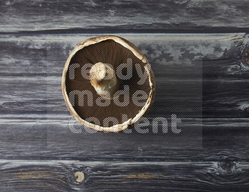 Fresh portobello mushroom topview on a grey wooden textured