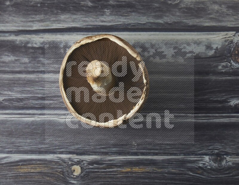 Fresh portobello mushroom topview on a grey wooden textured