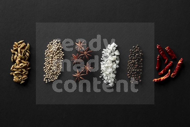 Cardamom, white pepper, star anise, salt, black pepper and chilis lined on a Black background