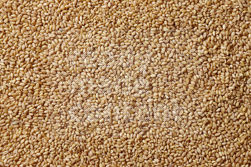 Hulled wheat on white background