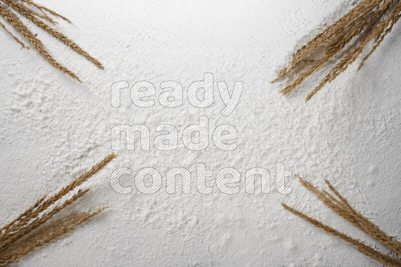 سنابل القمح على الدقيق الأبيض