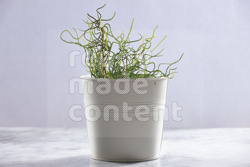 Green artificial plant in white pot on grey marble background