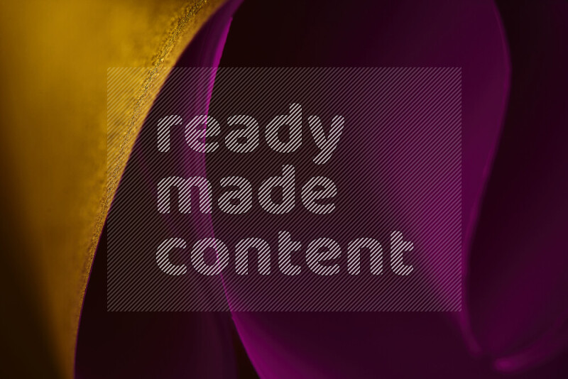 An abstract art piece displaying smooth curves in yellow and pink gradients created by colored light