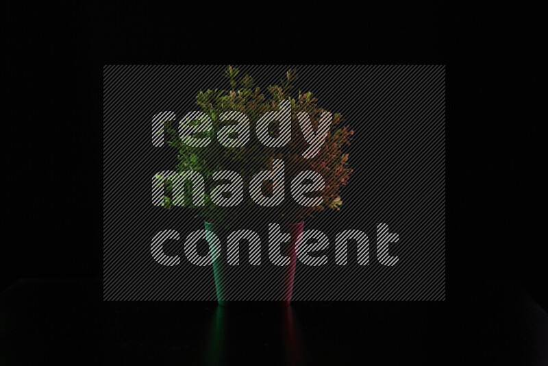 Plastic potted plant with colored rim light against black background