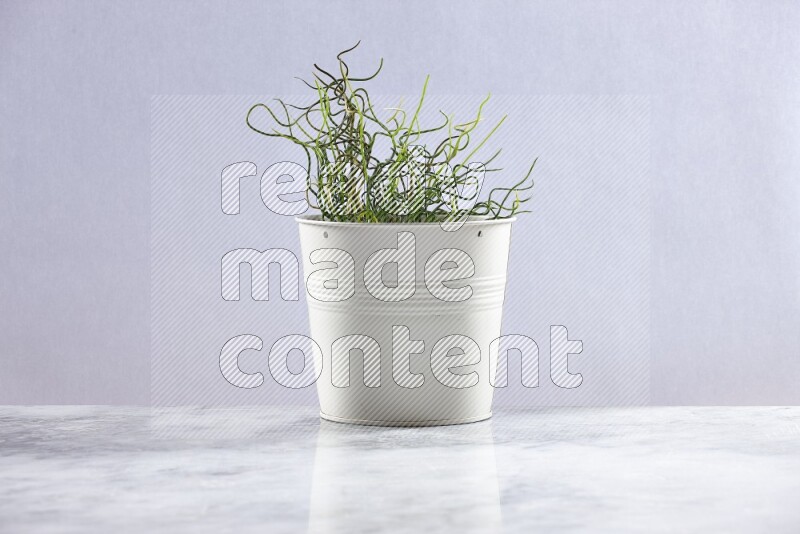 Green artificial plant in white pot on grey marble background