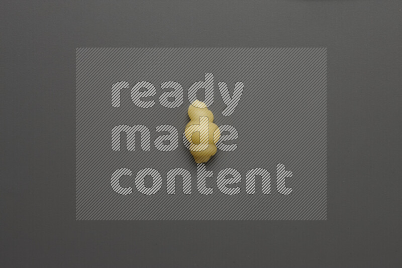 Snails pasta on grey background