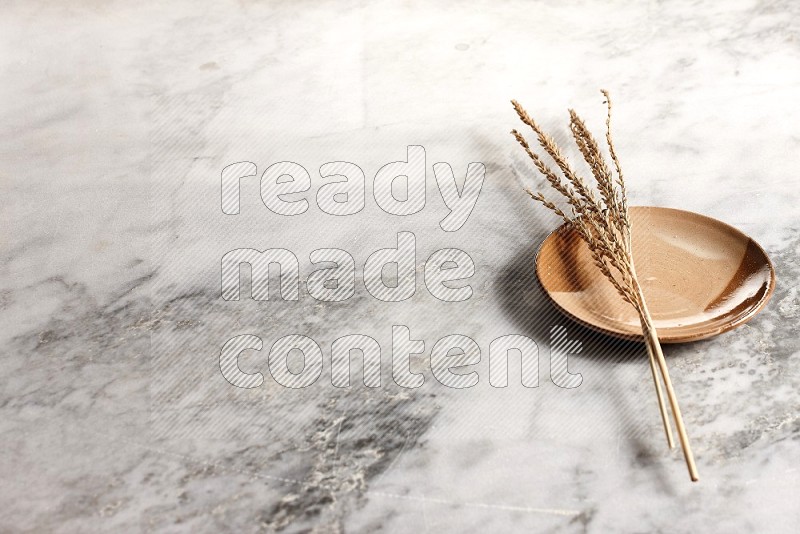 Wheat stalks on Multicolored Pottery Plate on grey marble flooring, 45 degree angle