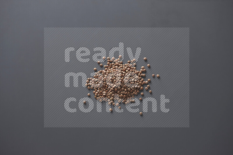Brown lentils on grey background