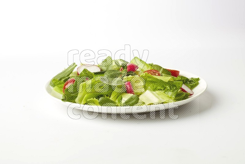 fattoush salad in a white plate direct on a white background