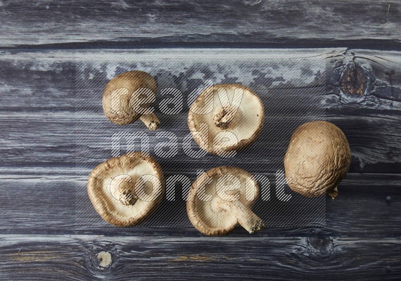 group of fresh shiitake Mushrooms topview on a grey wooden background