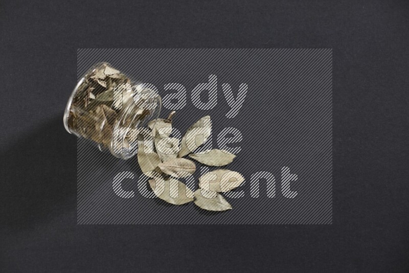A glass jar full of dried bay leaves and jar is flipped and leaves spread out on black flooring