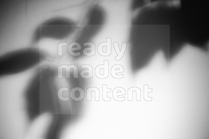 يظهر ضوء غوبو خافت ظلال أوراق نبات تسقط على سطح ناعم