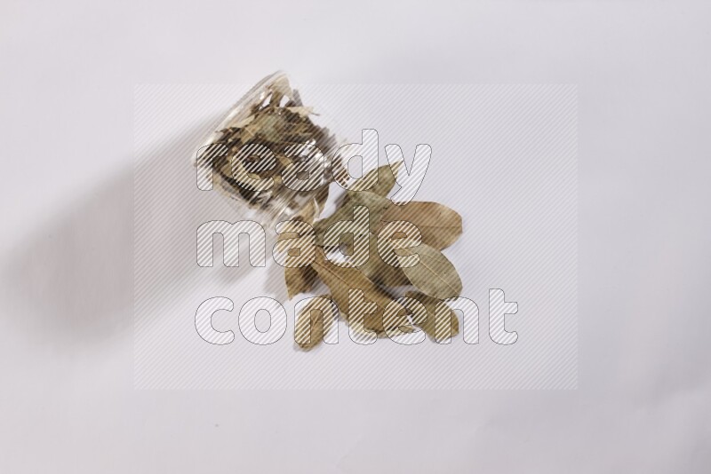 وعاء زجاجي ممتلئ بأوراق الغار والوعاء مقلوب وبعض الأوراق متناثرة خارجه علي خلفية بيضاء