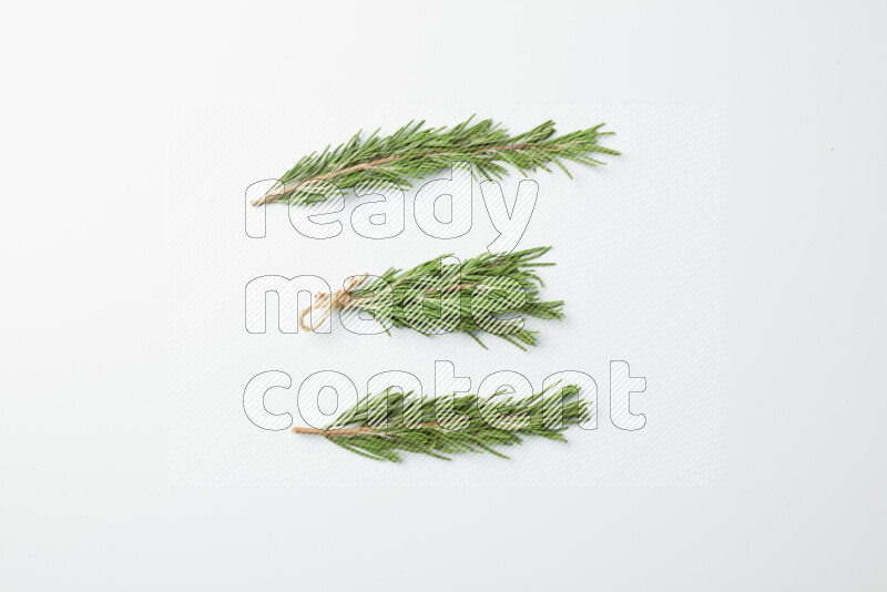 Multi fresh rosemary sprigs on white background