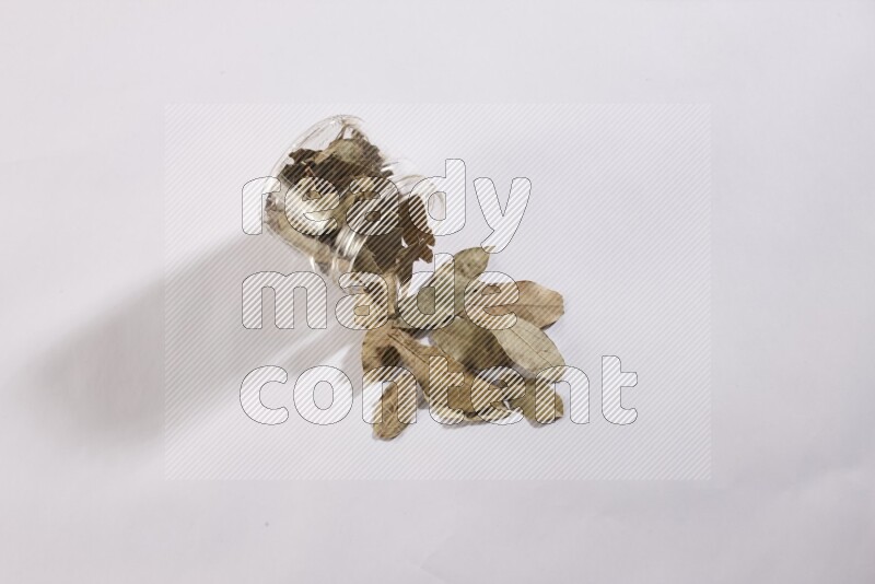 وعاء زجاجي ممتلئ بأوراق الغار والوعاء مقلوب وبعض الأوراق متناثرة خارجه علي خلفية بيضاء