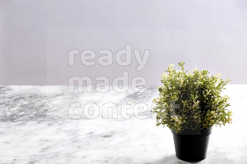 Artificial Thyme Plant in black pot on Light Grey Marble Background 45 degree angle