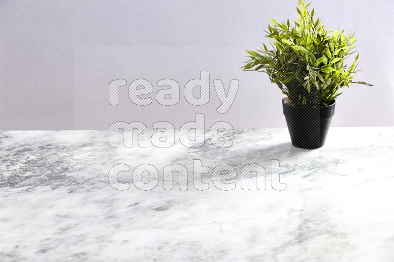 Artificial Plant in black pot on Light Grey Marble Background 45 degree angle