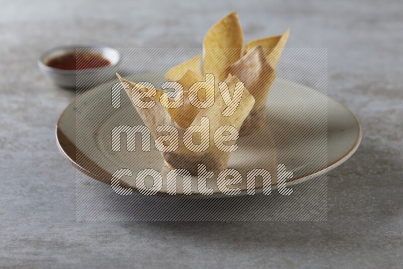 wonton cups with soy sauce ramkin on multi colored pottery on grey textured counter top