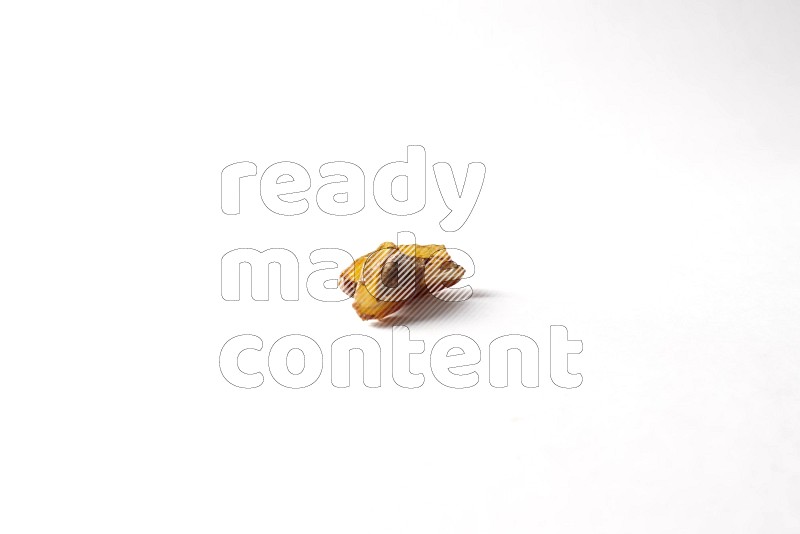 Dates on white background