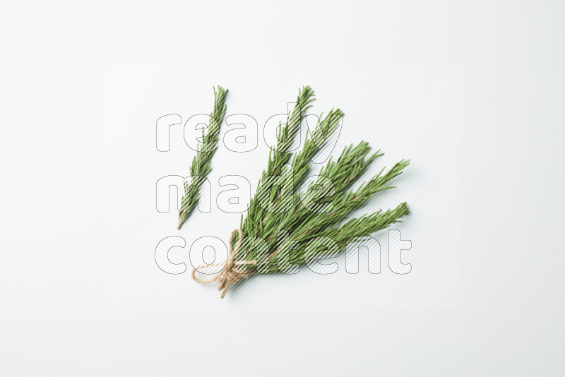 Multi fresh rosemary sprigs on white background