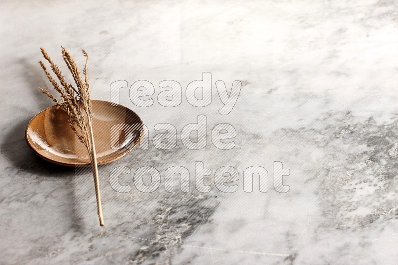 Wheat stalks on Multicolored Pottery Plate on grey marble flooring, 45 degree angle