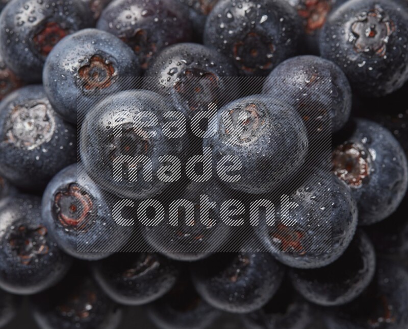 top view shot of blueberries