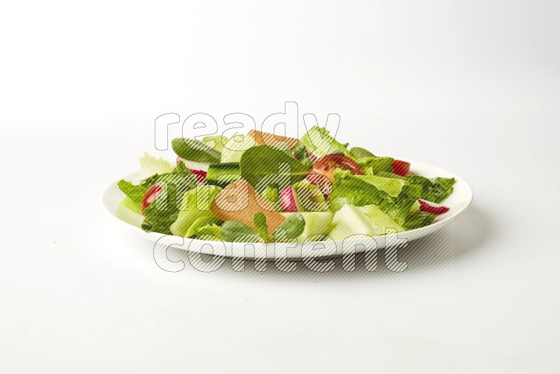 fattoush salad in a white plate direct on a white background