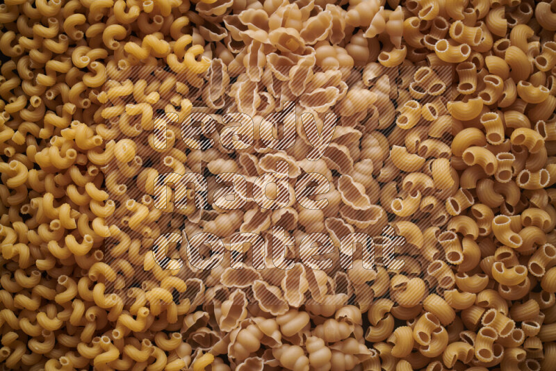 3 types of pasta filling the frame