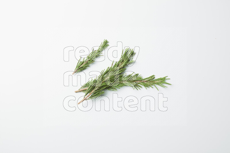 Three fresh rosemary sprigs on white background