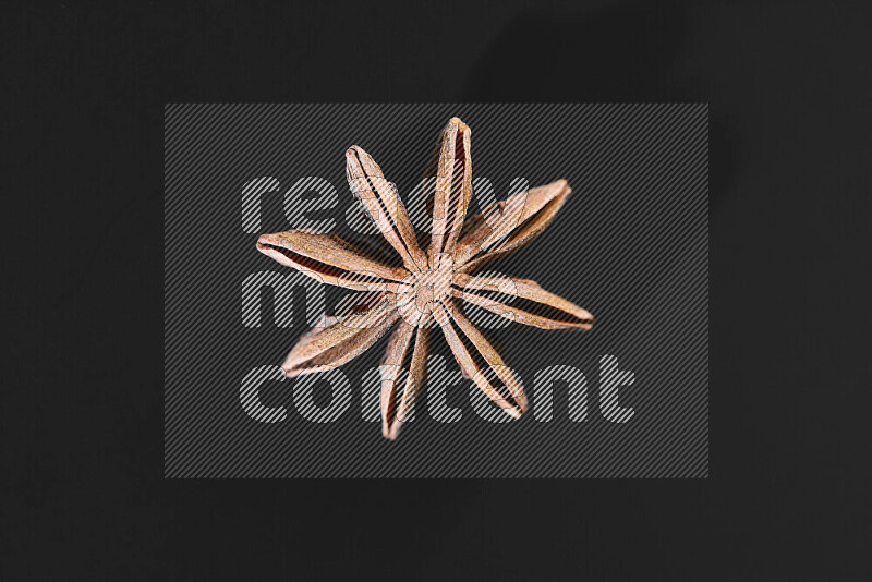 Star anise on black background