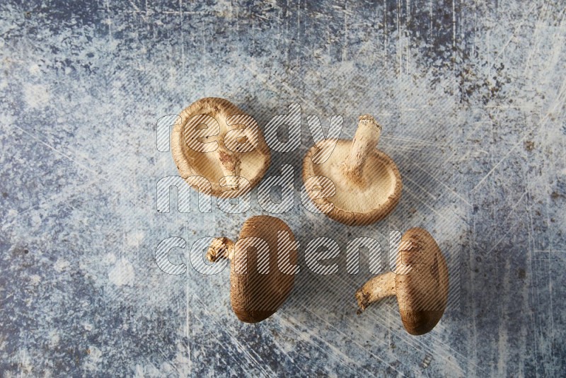 group of fresh shiitake Mushrooms topview on a blue textured background