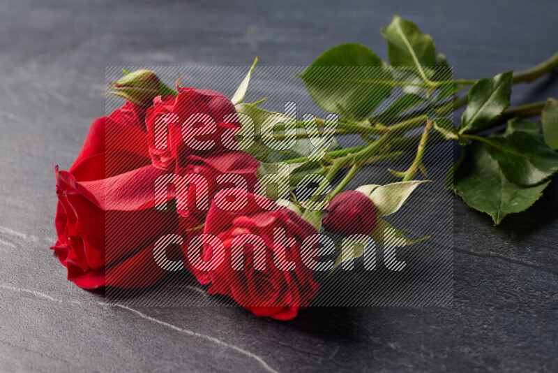 Red roses in different sizes on black marble background