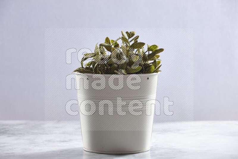 Green artificial plant in white pot on grey marble background