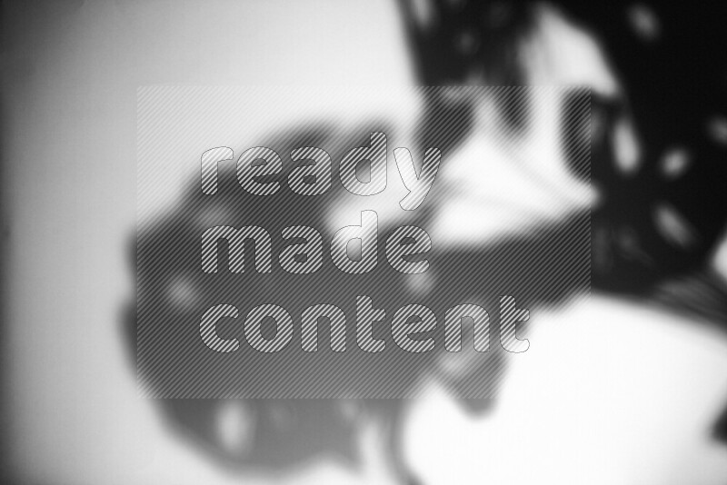 يظهر ضوء غوبو خافت ظلال أوراق نبات تسقط على سطح ناعم