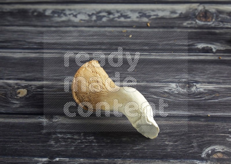 45 degree one king oysters mushrooms on a textured grey wooden background
