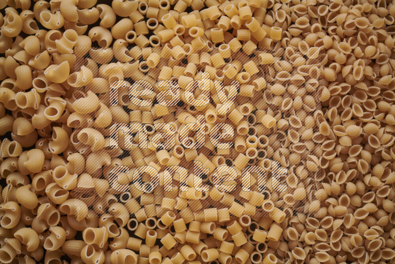 3 types of pasta filling the frame