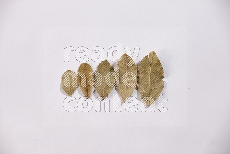 Dried bay leaves on white flooring in different angles
