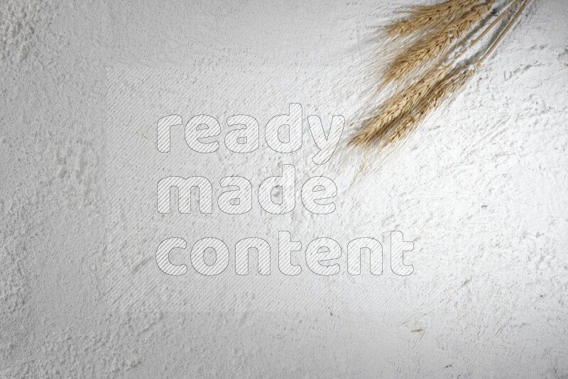 سنابل القمح على الدقيق الأبيض